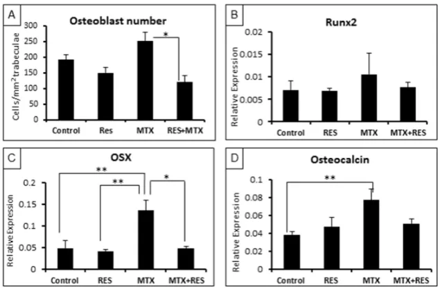 Figure 4. (Figure4. Effects of acute  MTX treatment with and without resveratrol (RES) supplementation (1 mg/kg)  on  the  osteoblast  density  and  mRNA  expression  of  osteogenesis‐related  genes  at  the metaphysis of tibia of young rats. (A) Osteoblas