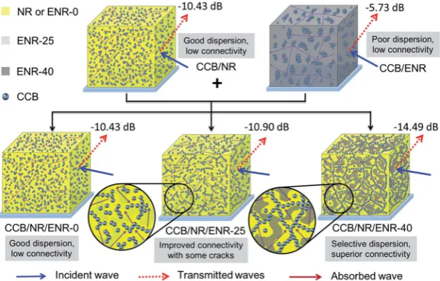 Fig. 9Schematic representation of microwave transfer across the typical localization scenarios of CCB-ﬁlled rubber composite.