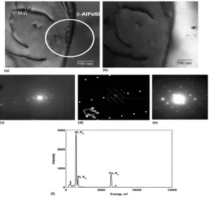Figure 2.9 (a) Bright field TEM image; (b) centered dark field image showing the β-