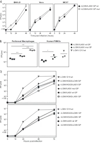 FIG 4 growth kinetics of mutant virus. (A) MC57, BHK-21, and Vero cells, each in triplicate, were infected at 60 to 70% conﬂuence with eitheran MOI of 0.01 with rLCMV/LASV GP, the mutated rLCMV/LASV mut GP, or combinations between VGKS, KGGS, and VGGS with