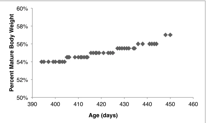 Figure 3.1 Relationship between percent mature body weight and likelihood of pregnancy