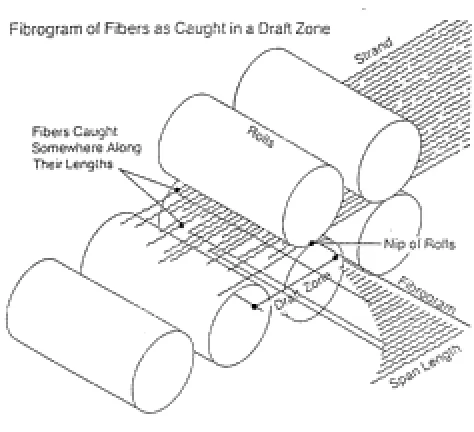 Figure 2.6: Fibrogram of fibers as caught in a draft zone [97].