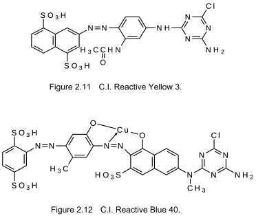 Figure 2.11 C.I. Reactive Yellow 3. 
