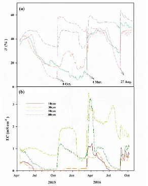 Figure 4. Seasonal variations of the daily: (a) soil moisture content (θ, %), and (b) electrical conductivity (EC, mS cm−1) for P