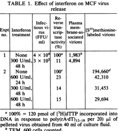 TABLE 1. Effect of interferon on MCF virusrelease