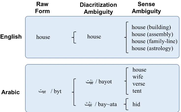 Figure 2: Sources of lexical ambiguity in English and Arabic (from (Hamed and Zesch, 2018)).
