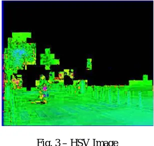 Fig.2 – Input Image.    