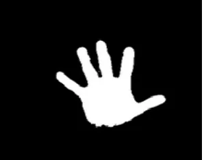 Fig 3: Hand Detection after Applying Convex Hull Algorithm[4]     