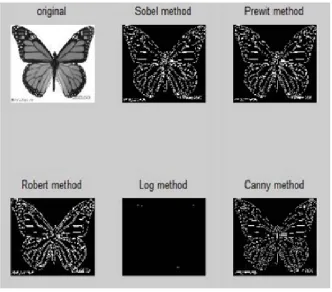 Fig 2. Comparison of all operators on the basis PSNR 
