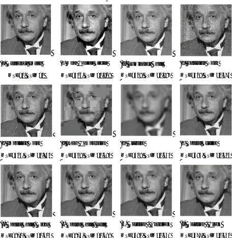 Fig 4.3 - Comparison of image fidelity measures with different types of distortions. 