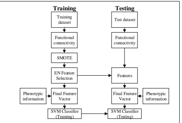 Fig. 1. Flowchart of proposed framework.  