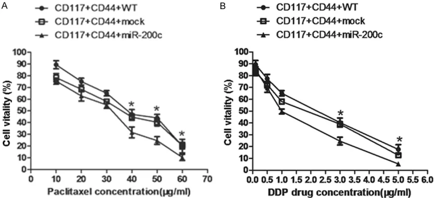 Figure 1. Cell vitality changes in SKOV3 CD44+CD117+CSCs infected with lentivirus-miR-200c
