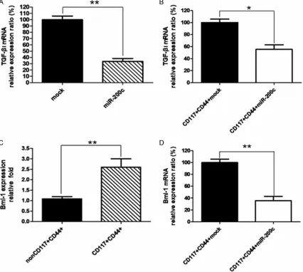 Figure 2. Relative expression of TGF-β1 and Bmi-1. Relative expression of TGF-β1 and Bmi-1 in SKOV3 cells and SKOV3 tumor tissues in nude mice was analyzed by real-time PCR