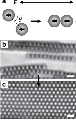 Figure 1.3: External field-driven assembly of isotropic particles. (a) Electric dipole polarization of micron-size spherical particles by application of an external alternating current (AC) electric field