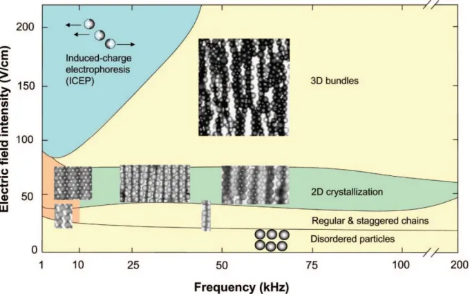 Figure 1.7: A variety of assembly patterns formed from metallo-dielectric Janus particles in an AC electric field depending on the field strength and frequency