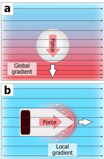 Figure 1.11 : Schematic comparison of the origin of motion of a non-active (global field gradient-driven) and an active (local field gradient-driven) particle in an external field