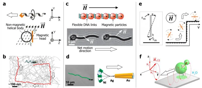 Figure 1.13 : Representative examples of magnetically powered self-propelling particles