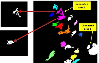 Figure 4.21: Cotton and hibiscus plants with connected areas which have been separated