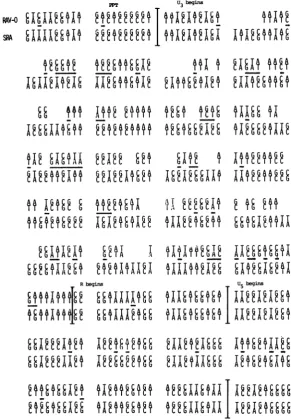 FIG. 2.dispositionRAV-OAthisregionsprincipallysignificantlysequences sequences. Comparison of the RAV-O LTR and the LTR of the SR-A strain of RSV (28)