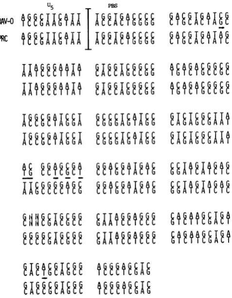 FIG.~~~~~~~6.Coprio