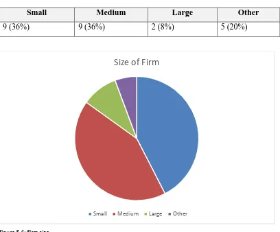 Figure 3.4: Firm size 