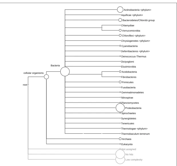 Figure 4.2: Tree representation of reads on the NCBI taxonomy on the phylum level.