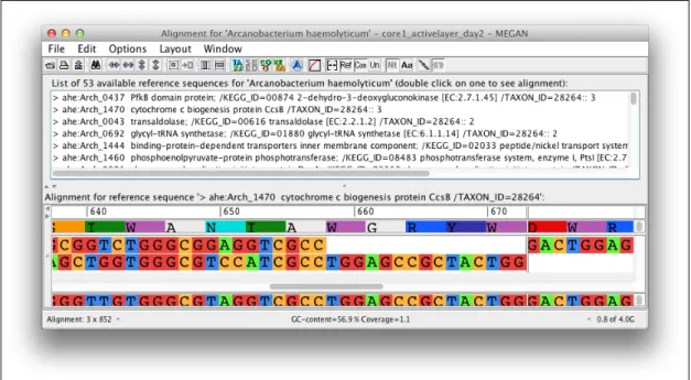 Figure 4.4: Alignment Viewer for Arcanobacterium haemolyticum. Sequences are ex- ex-tracted from reads and aligned against references.