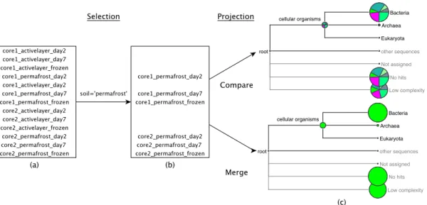 Figure 5.10: Selection - Projection: (a) All datasets present on a MEGANServer instance