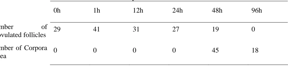 Table 2. Summary table of ovarian characteristics at ovariectomy across all animals Time post-hCG 