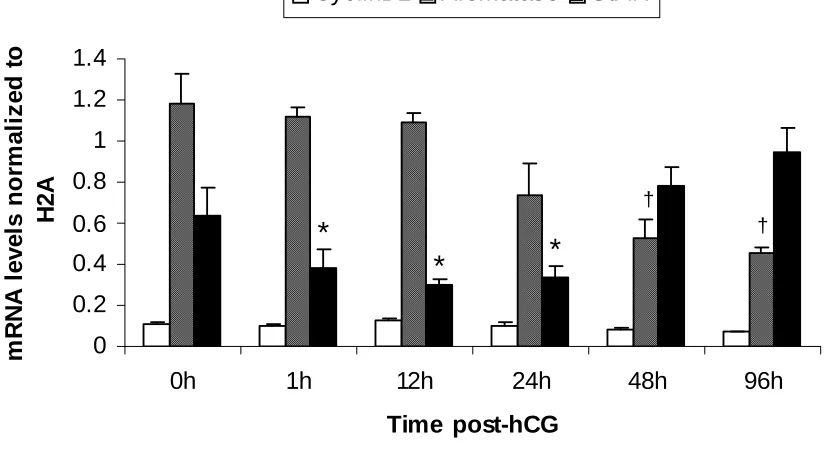 Figure 1. mRNA expression patterns of some LH-responsive genes in hCG-treated follicles 