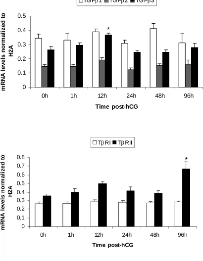 Figure 2. mRNA expression patterns of TGF-β ligands and receptors in hCG-treated follicles 