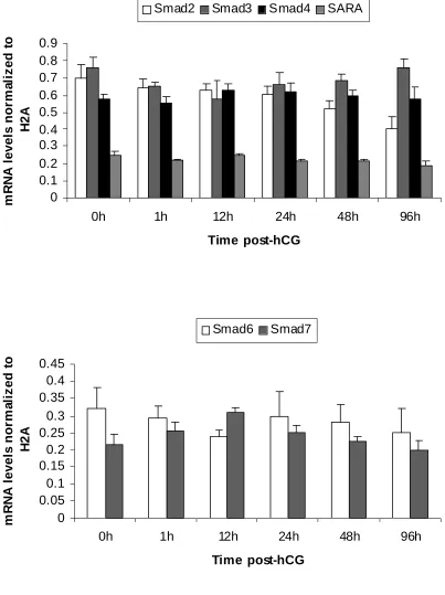 Figure 3. mRNA expression patterns of stimulatory Smads, SARA and inhibitory Smads in hCG-treated follicles  
