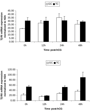 Figure 6. mRNA expression patterns of TGF-β receptors in granulosa and theca compartments separated from hCG-treated follicles 