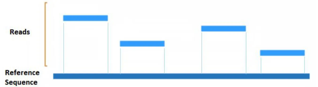 Figure 4.  ​Reads from the same gene that do not overlap. 