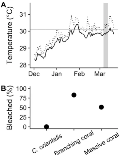 Figure 5. The temperature (A) and bleaching severity (B) during a natural bleaching event in the Palm Islands, Great Barrier Reef, Australia in February-March 2017