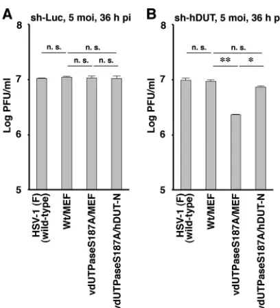 FIG 9 Effect of cellular dUTPase overexpression on HSV-1 replication inAsterisks indicate a signiﬁcant difference in the mean (*,0.0167) by Holm’s sequentially rejective Bonferroni multiple-comparison test.sh-hDUT-HEp-2 cells
