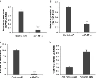 FIG 6 Correlation of STAT3, HCV RNA, and miR-181c expression levels inliver biopsy specimens