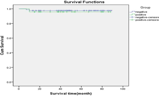Figure 1. Survival analysis of a 5-year survival rate.