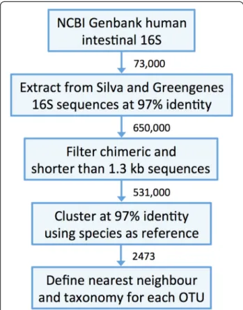 Fig. 1 Main steps in the construction of the human intestinal tract 16S taxonomic database (HITdb)