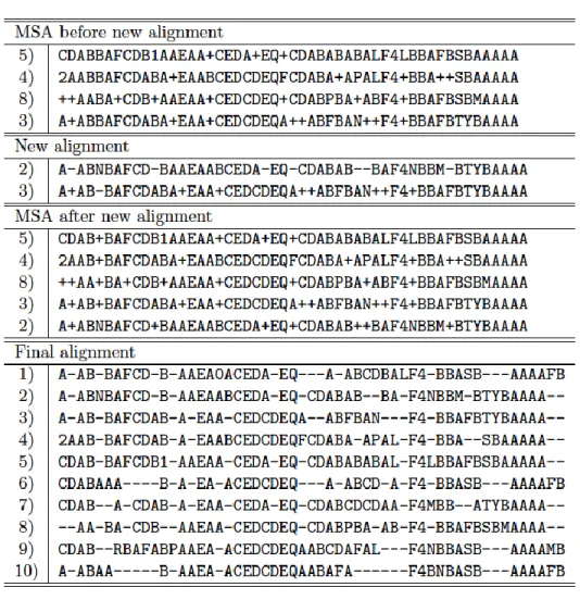 Figure 9. Multiple Sequence Alignment  