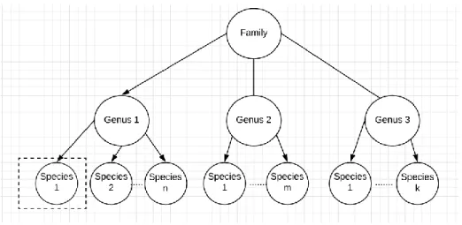 Figure 13. Deletion of one species from tree 