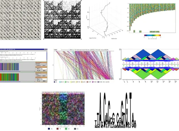 Figure 2.12: Examples of DNA visualization.  Top row: dot plots, chaos game representation, DNA walk, color coding; middle row: color merging, repeat graph, pygram; bottom row: spectrogram, sequence logos