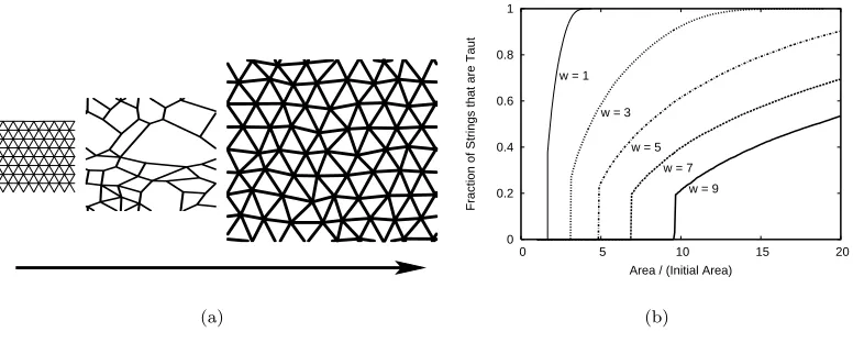 Fig. 1 – (a) Expansion of a triangular lattice with 192 strings and range wof the strings