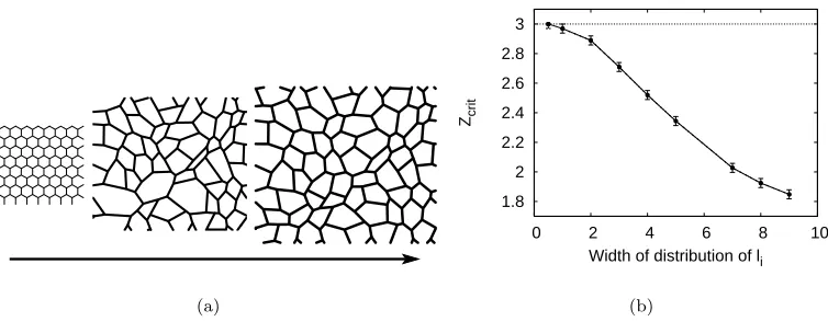 Fig. 5 – Expansion of a hexagonal lattice. (a) Simulation output for 192 strings and whexagonal lattice with 49152 strings)