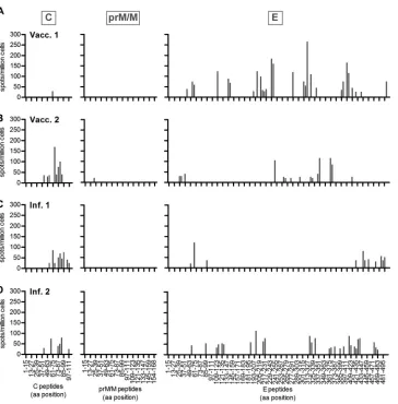 FIG 3 SDS-PAGE of TBE virus as well as its envelope proteins and capsidfractions after solubilization with DDM