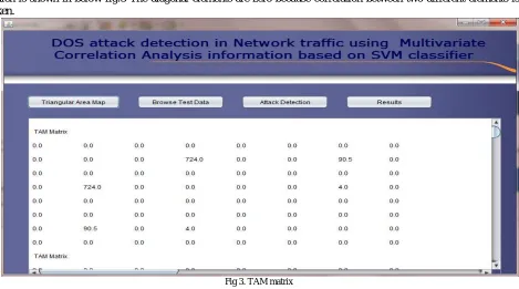 Fig 3. TAM matrix  