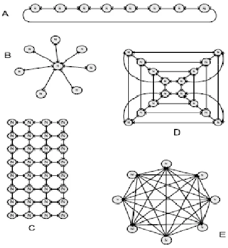 Figure 2.2: Popular NoC Topologies [3] 