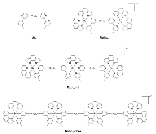 FIGURE 1 | The structure of the bbn ligand and the associated oligonuclear ruthenium complexes.