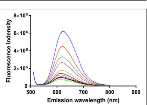 FIGURE 7 | Molecular modeling of the encapsulation of α-Me4phen-7 withQ[10] using HyperChem software
