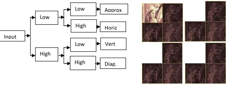 Figure 3.3: (a) Redundant Wavelet Decomposition (b) RDWT Multi-resolution Analysis of Sample Image 